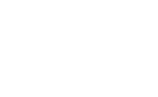 Professional Garage Concepts